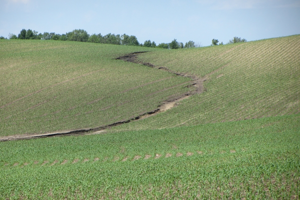 Erosion Control Assistance Available to Landonwers